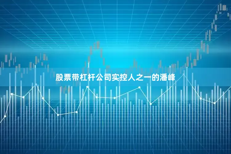 股票带杠杆公司实控人之一的潘峰
