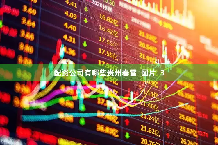 配资公司有哪些贵州春雪  图片  3