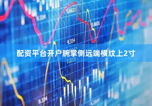 配资平台开户腕掌侧远端横纹上2寸
