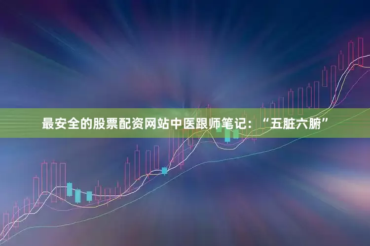 最安全的股票配资网站中医跟师笔记：“五脏六腑”